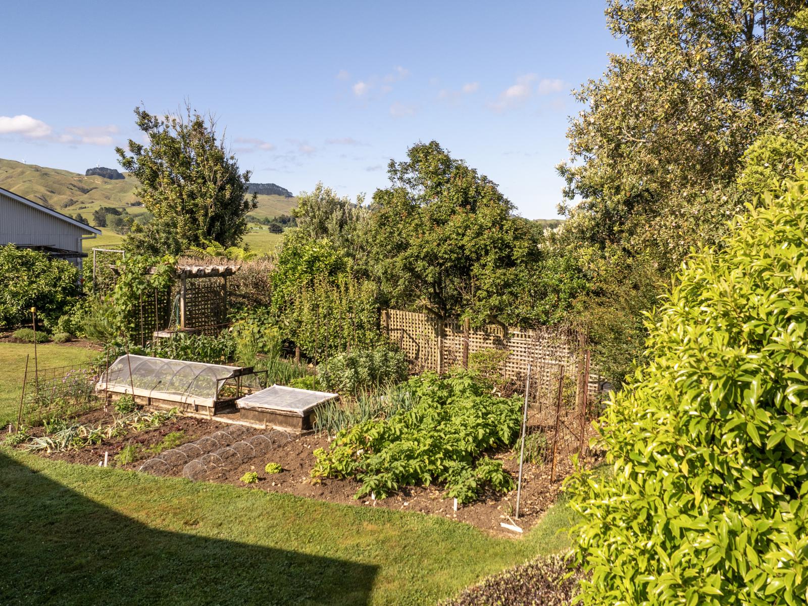 3257 State Highway 23, Raglan