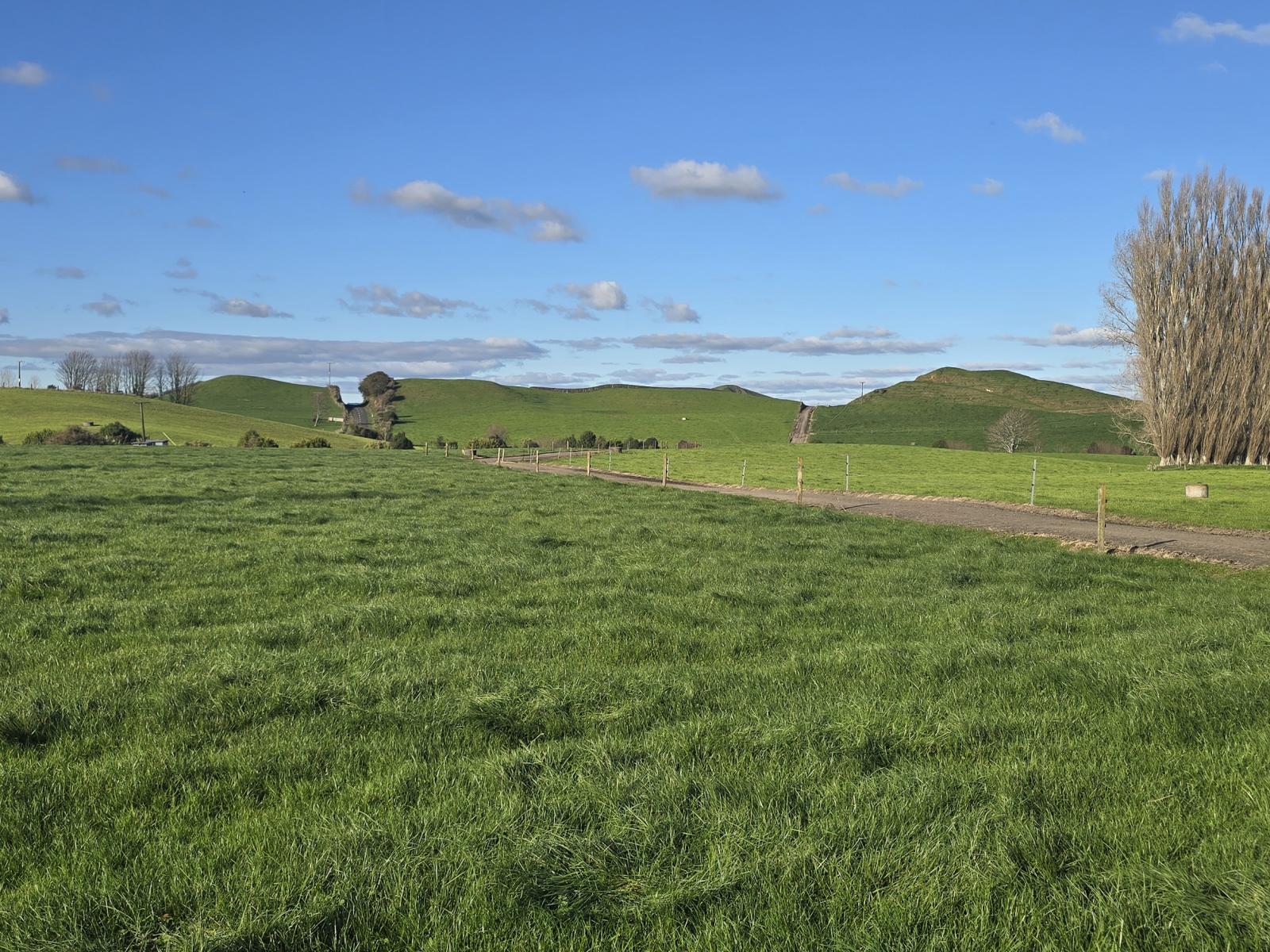 139 Ahuroa Road, Toko