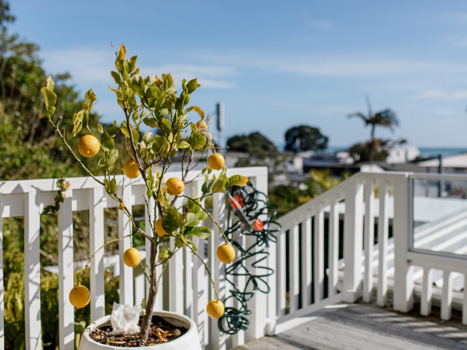 190 Pohutukawa Avenue, Ohope