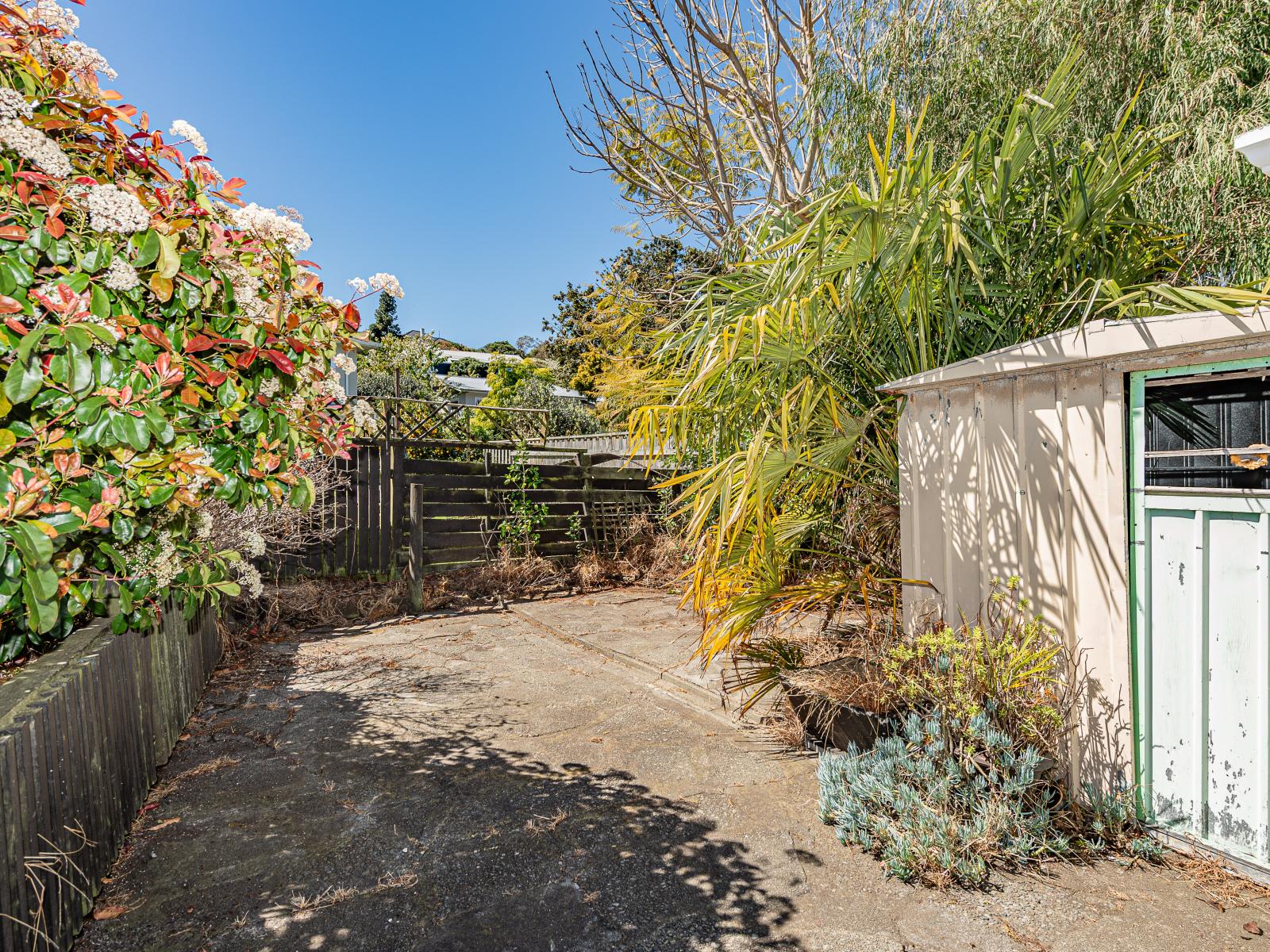 62 Parkes Avenue, St Johns Hill