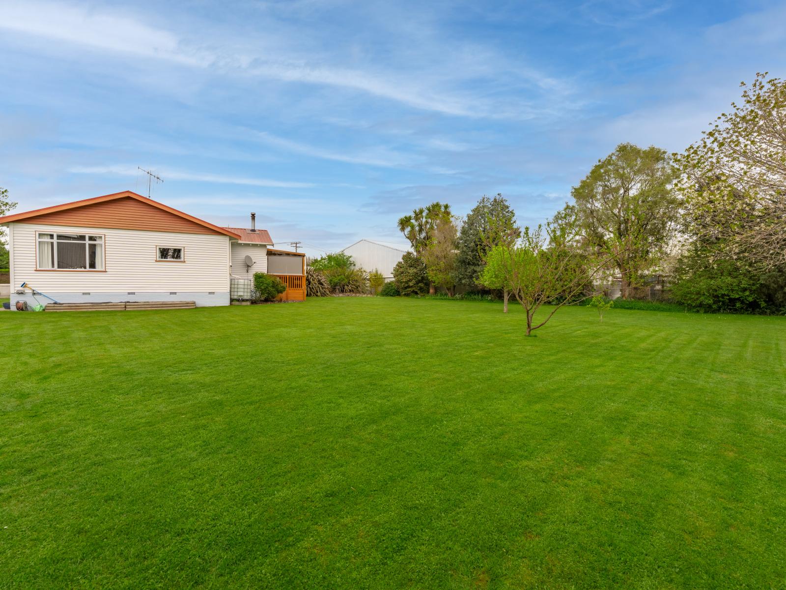 3 Sealy Street, Temuka