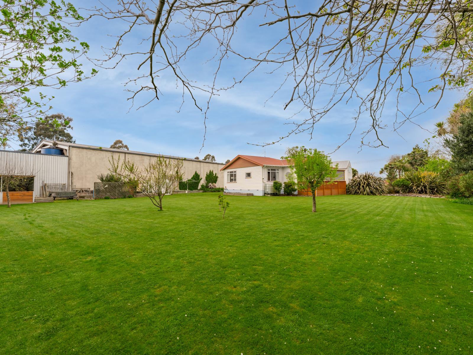 3 Sealy Street, Temuka