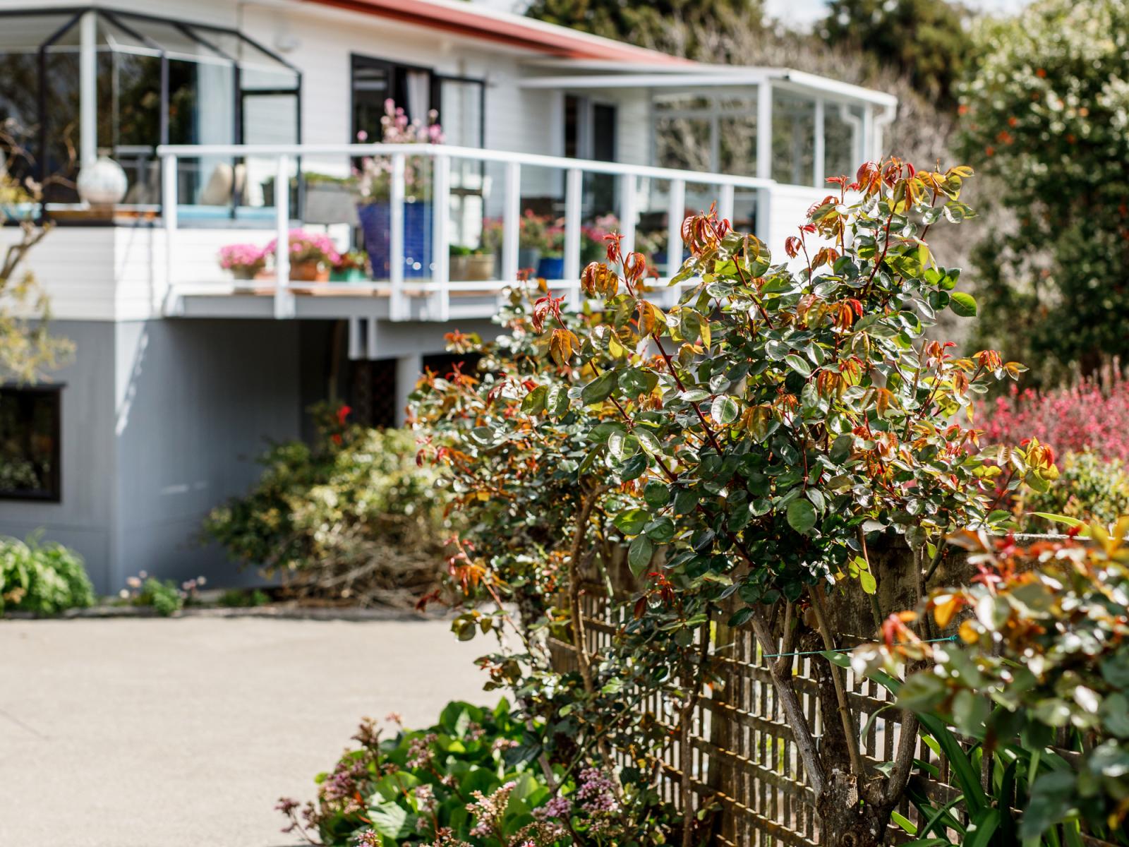 286 Paerata Ridge Road, Opotiki