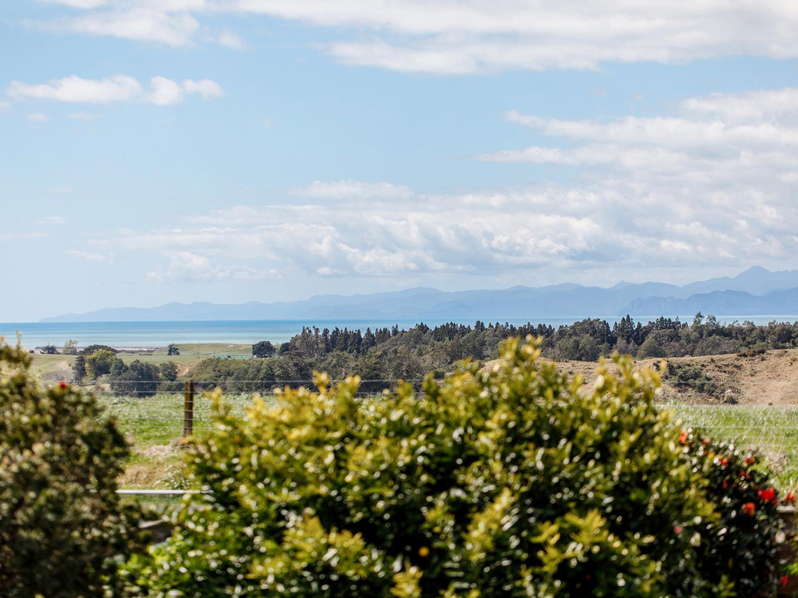 286 Paerata Ridge Road, Opotiki