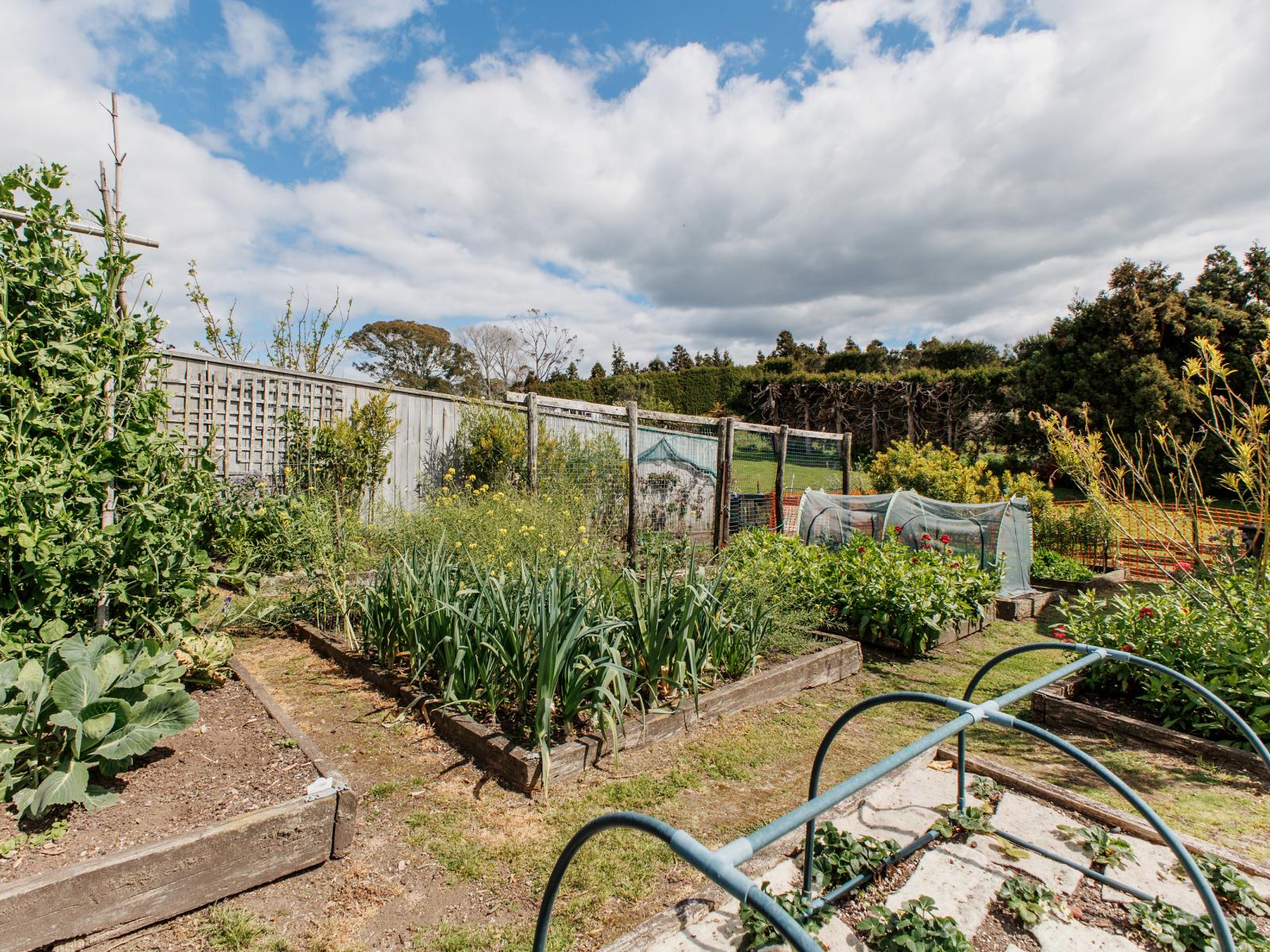 286 Paerata Ridge Road, Opotiki