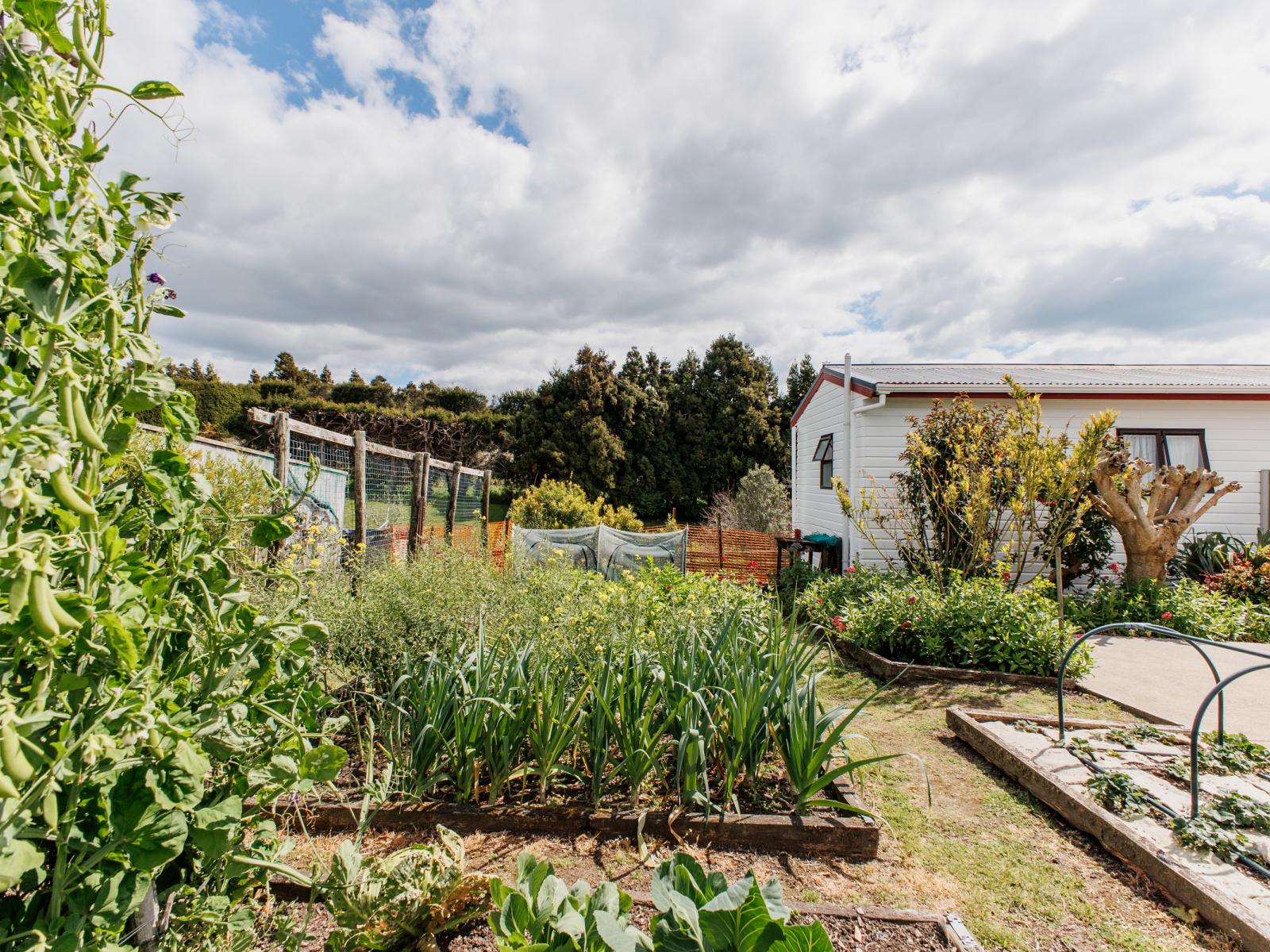 286 Paerata Ridge Road, Opotiki