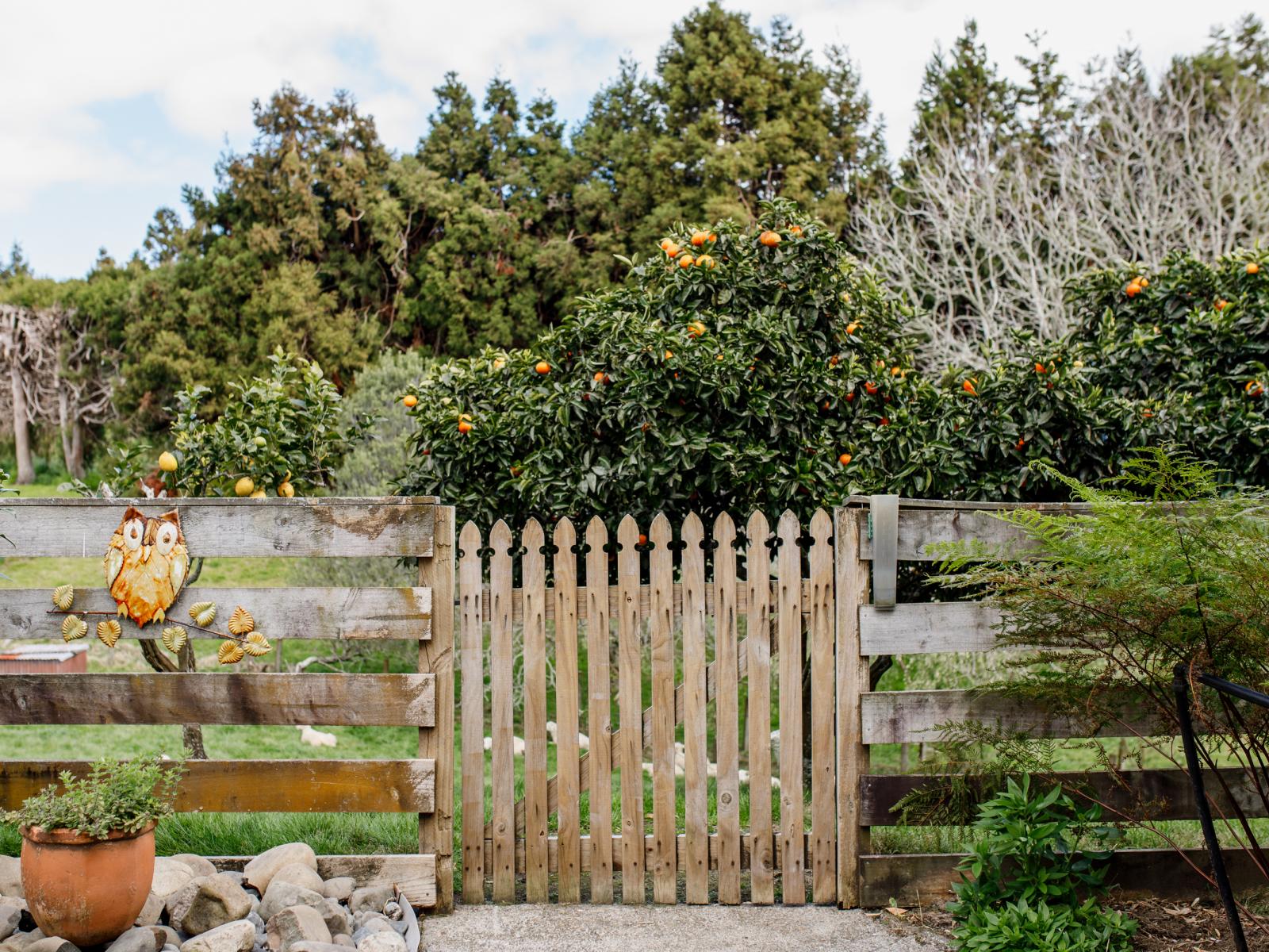 286 Paerata Ridge Road, Opotiki