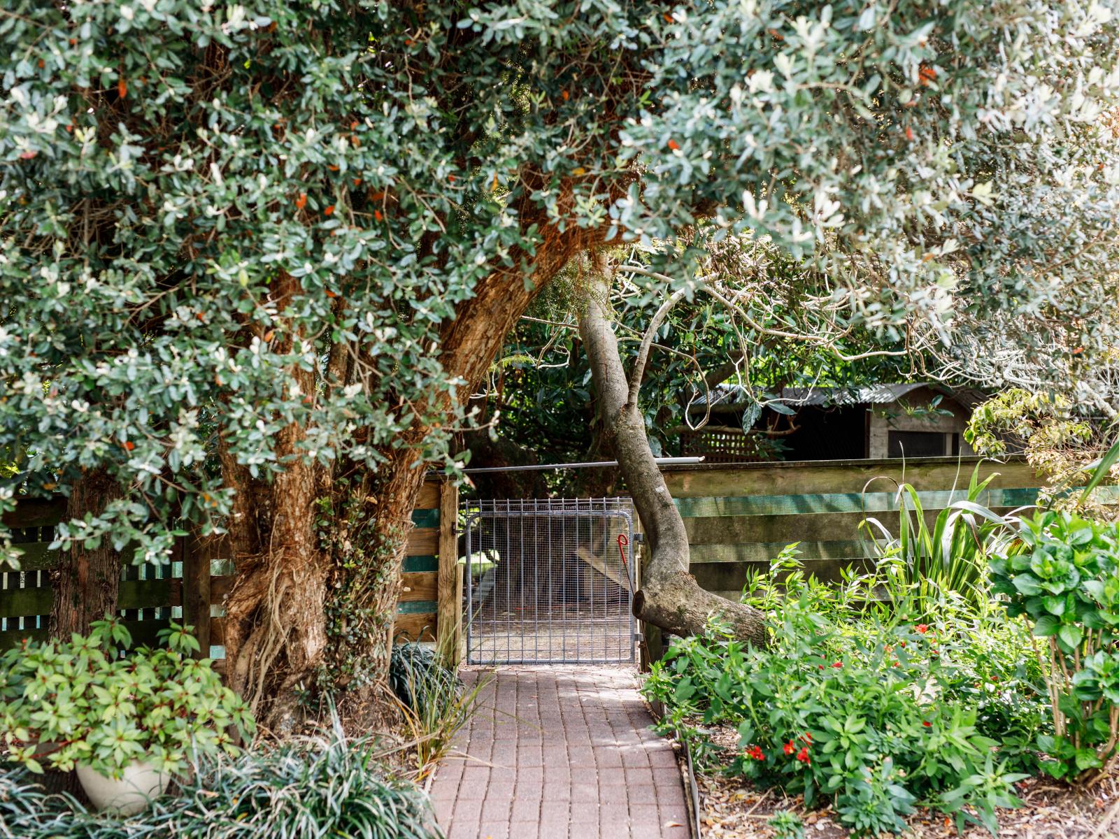 286 Paerata Ridge Road, Opotiki