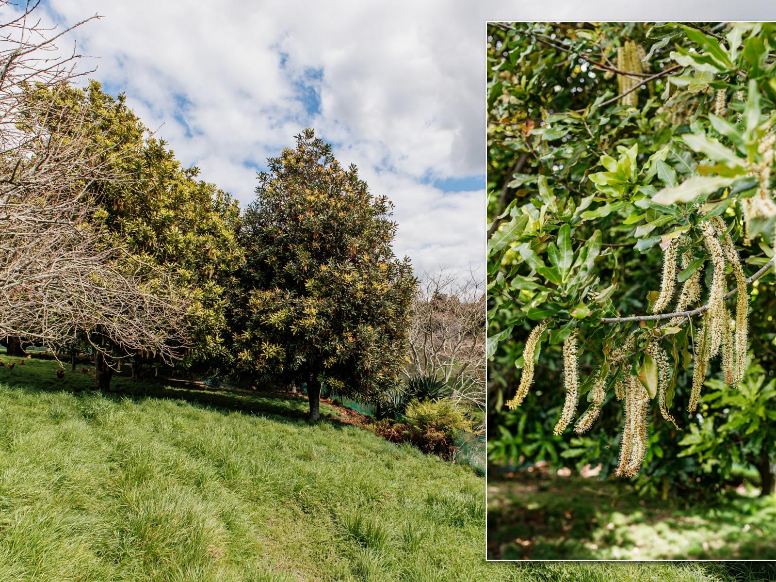 286 Paerata Ridge Road, Opotiki