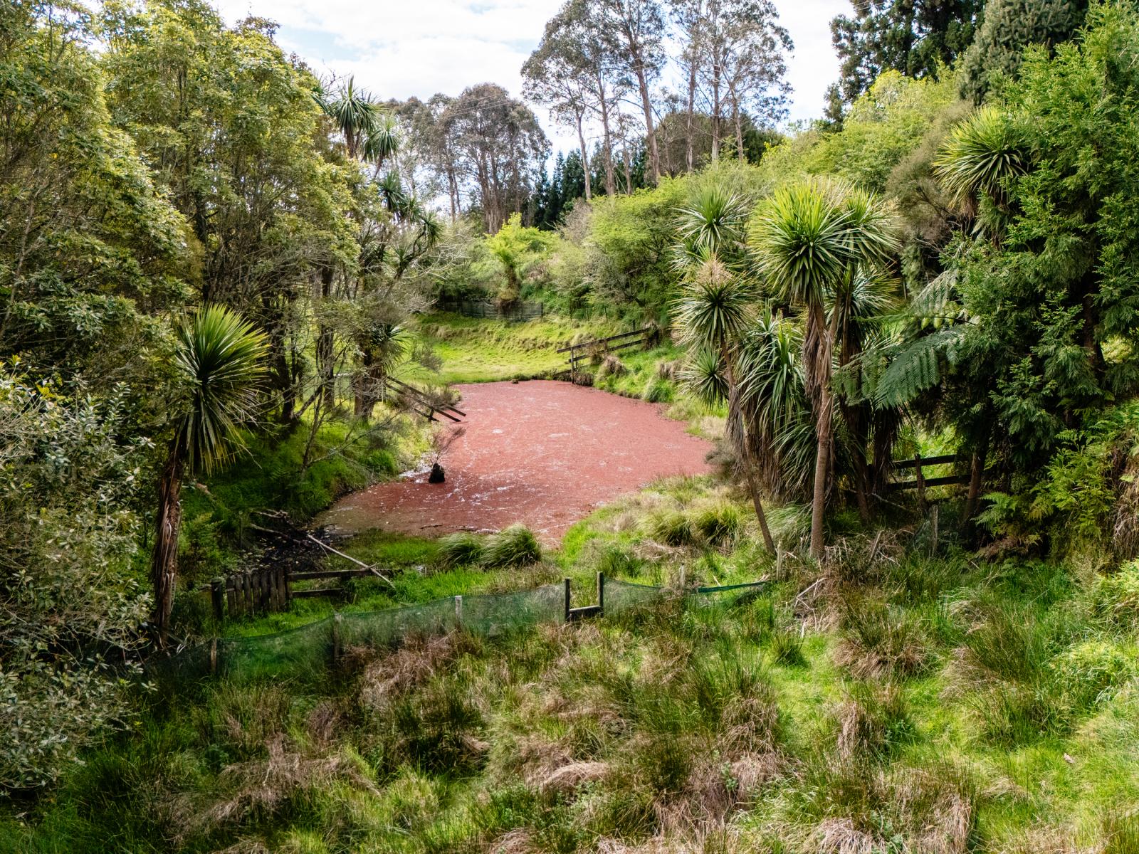 286 Paerata Ridge Road, Opotiki