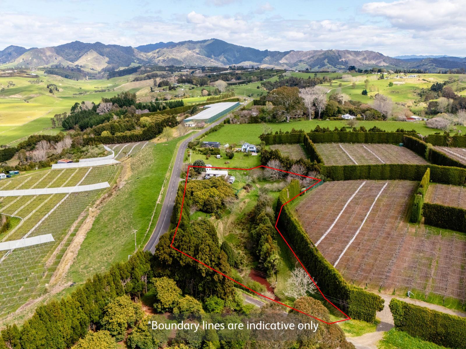 286 Paerata Ridge Road, Opotiki