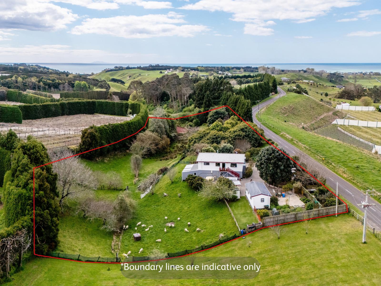 286 Paerata Ridge Road, Opotiki
