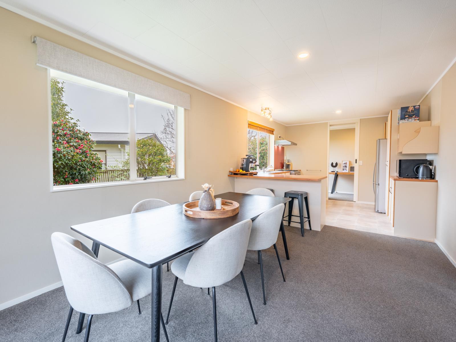 5 Williamson Place, Geraldine