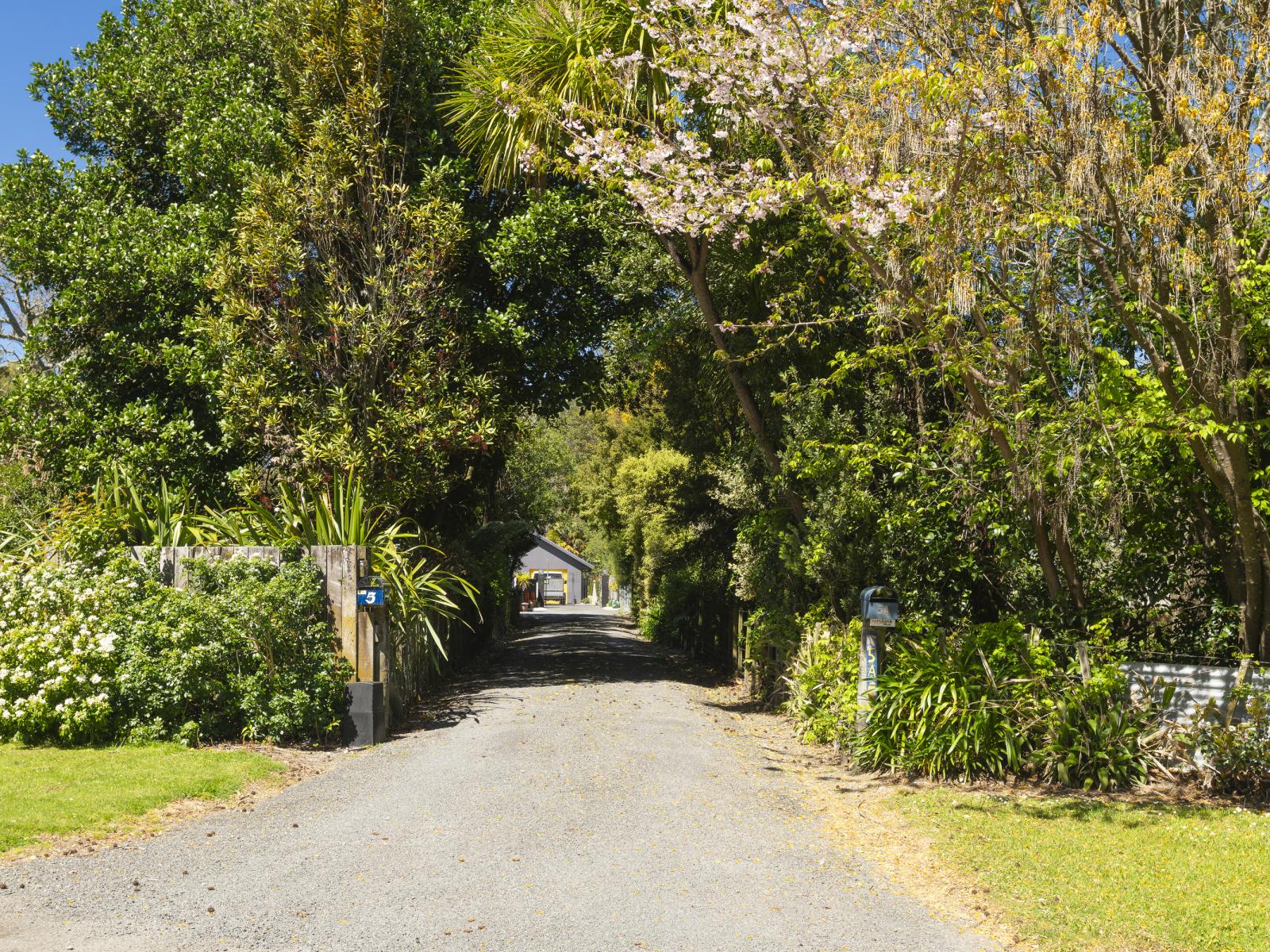 5 Dryden Street, Whataupoko