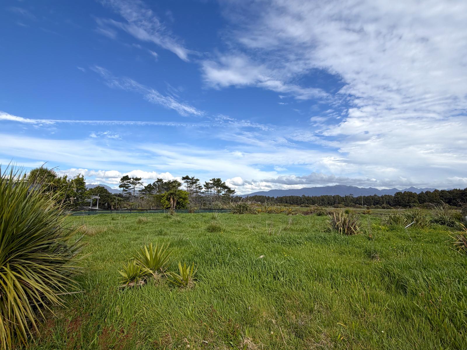 21 Elley Drive, Westport