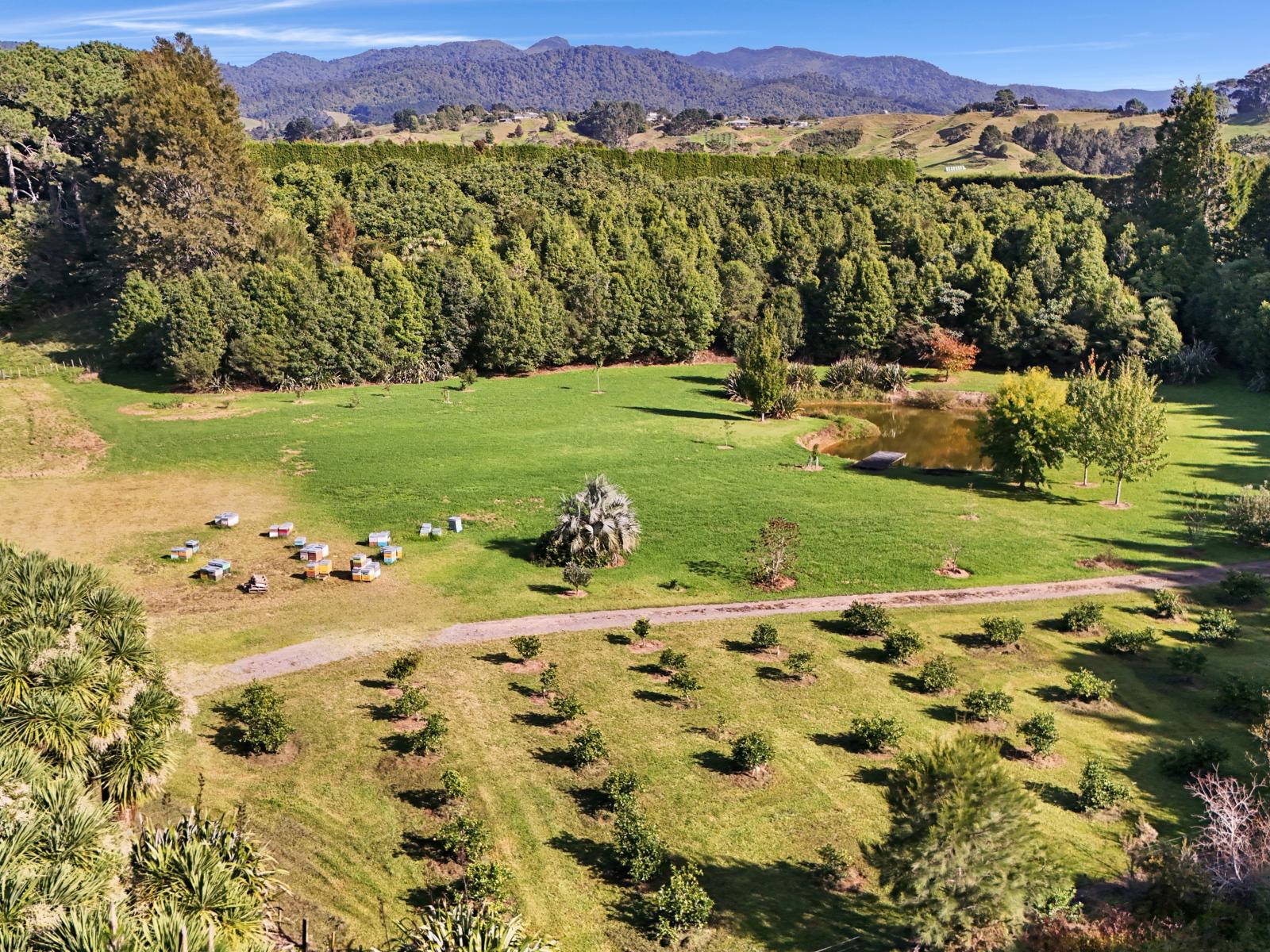24B Chard Road, Aongatete