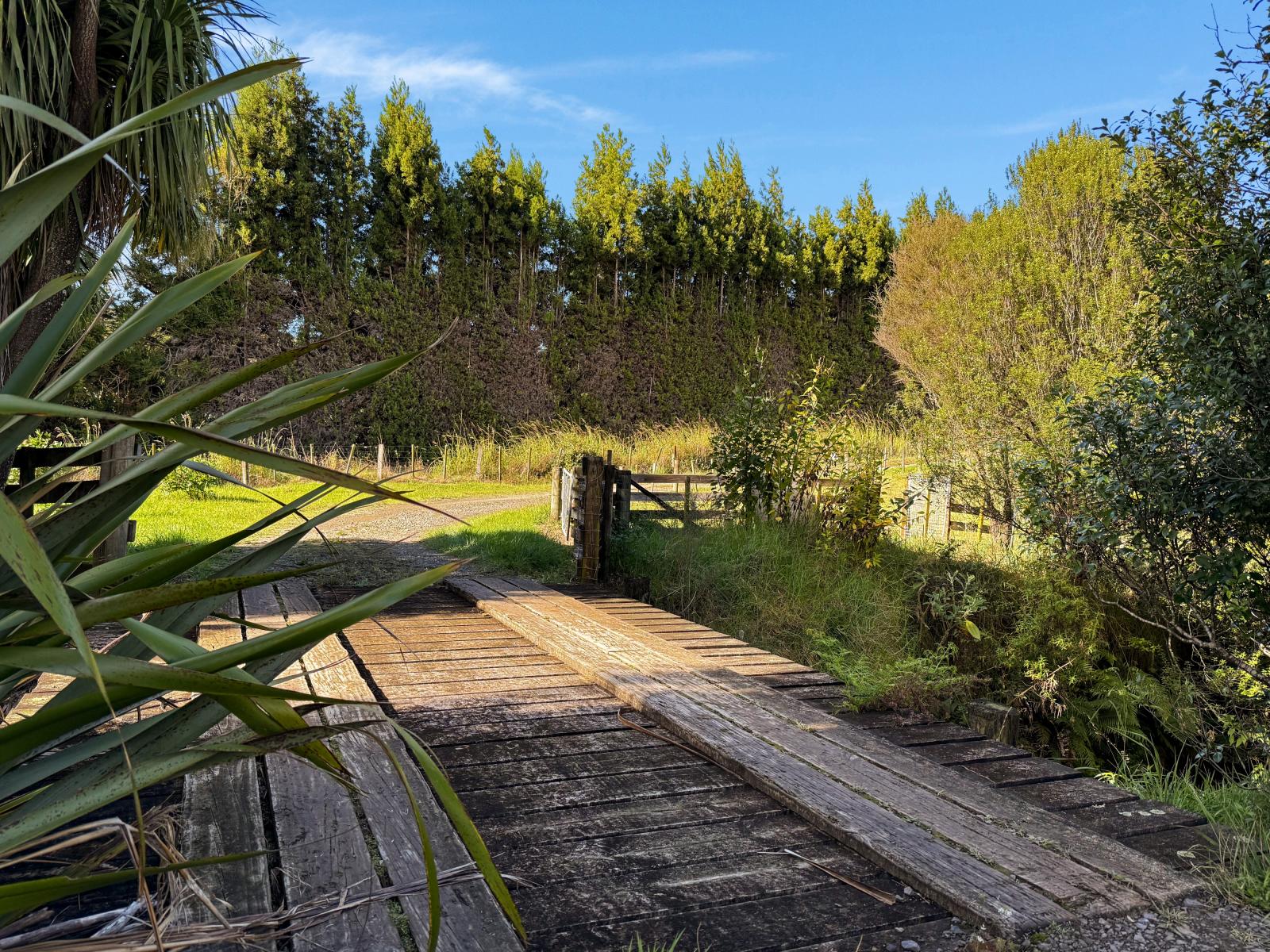 24B Chard Road, Aongatete