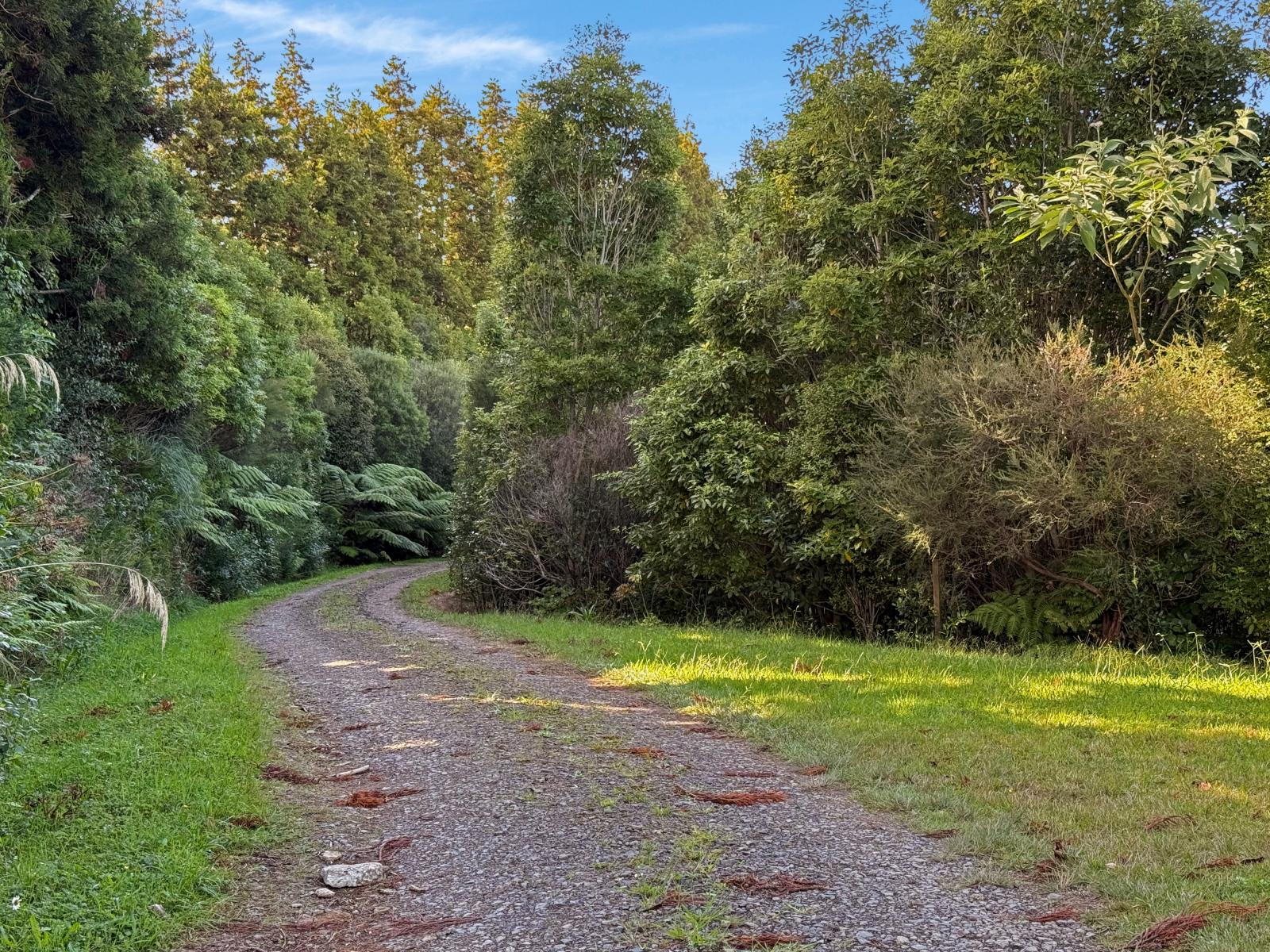 24B Chard Road, Aongatete