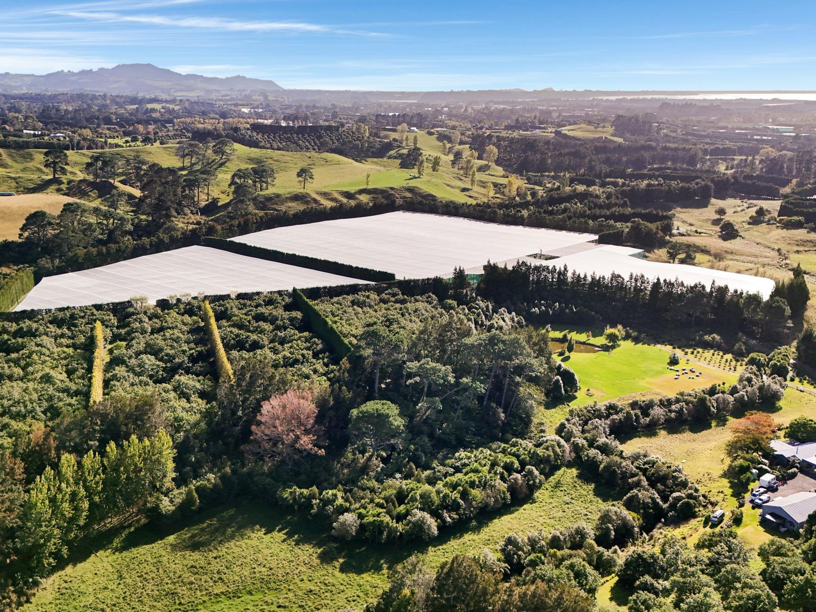 24B Chard Road, Aongatete
