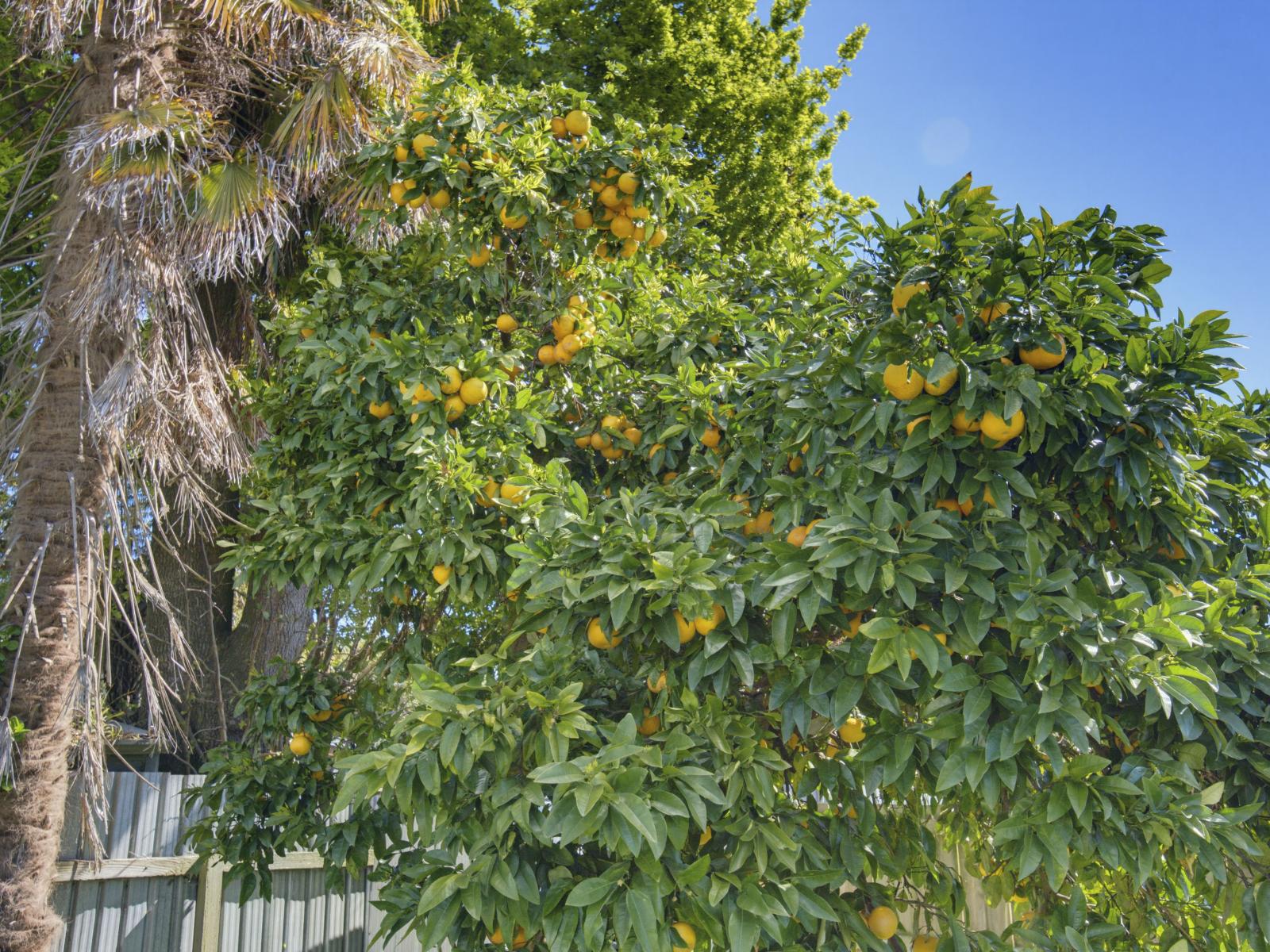 192A Bartholomew Road, Levin