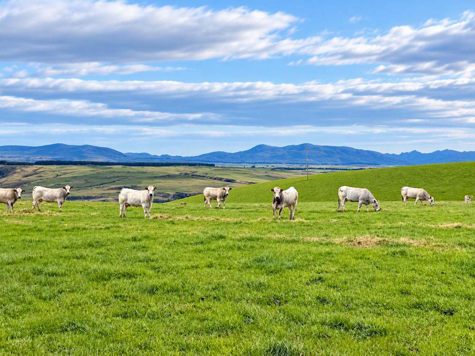865 Wallaces Ford Road, Clarks Junction