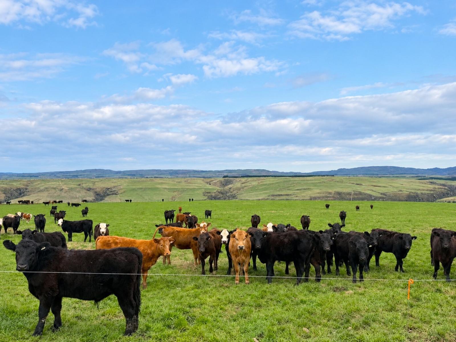 865 Wallaces Ford Road, Clarks Junction
