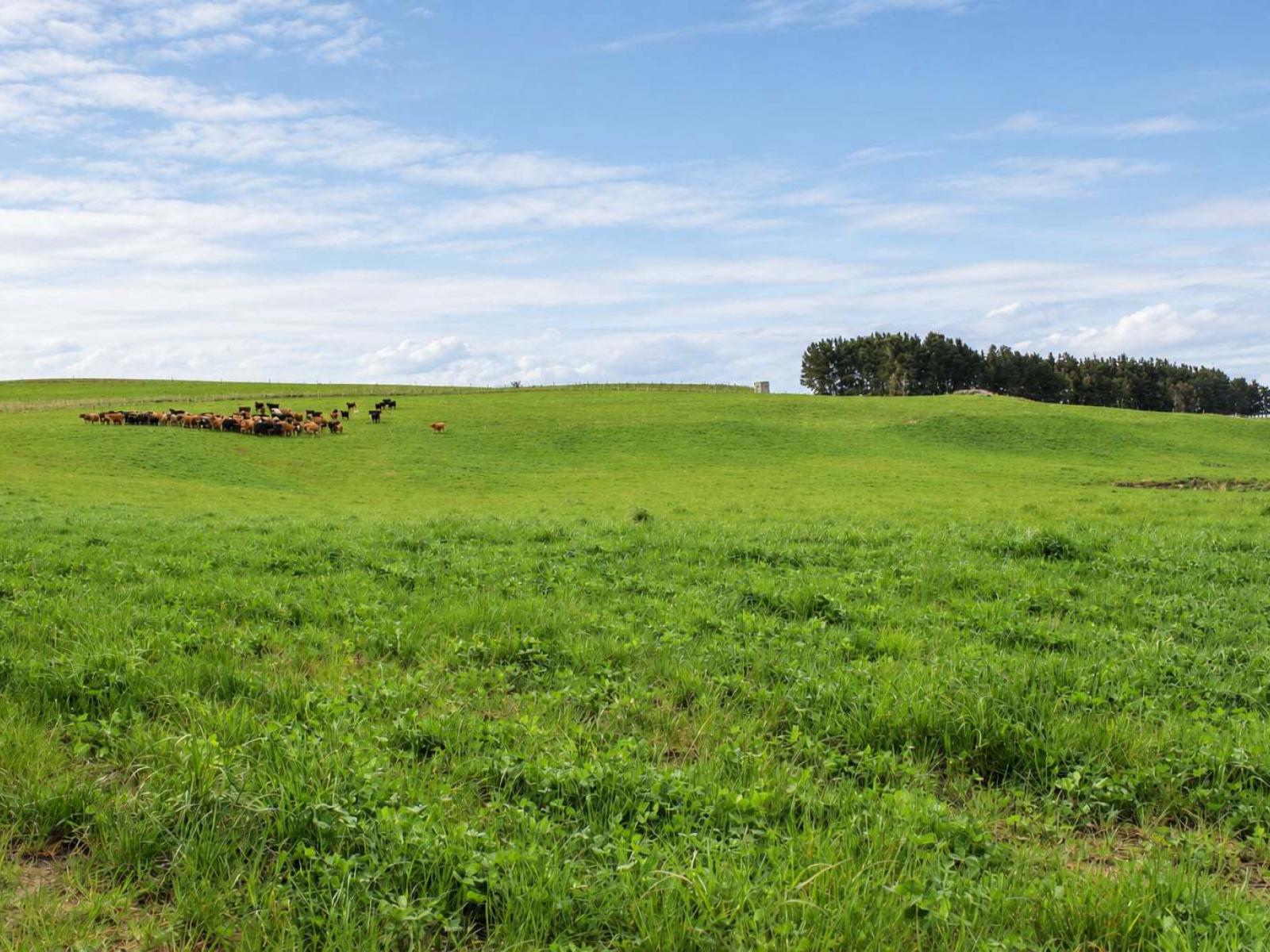 865 Wallaces Ford Road, Clarks Junction