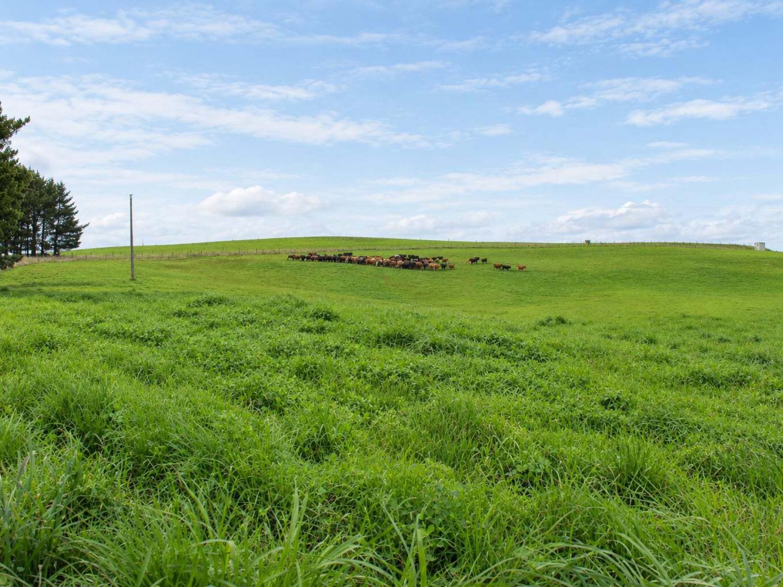 865 Wallaces Ford Road, Clarks Junction
