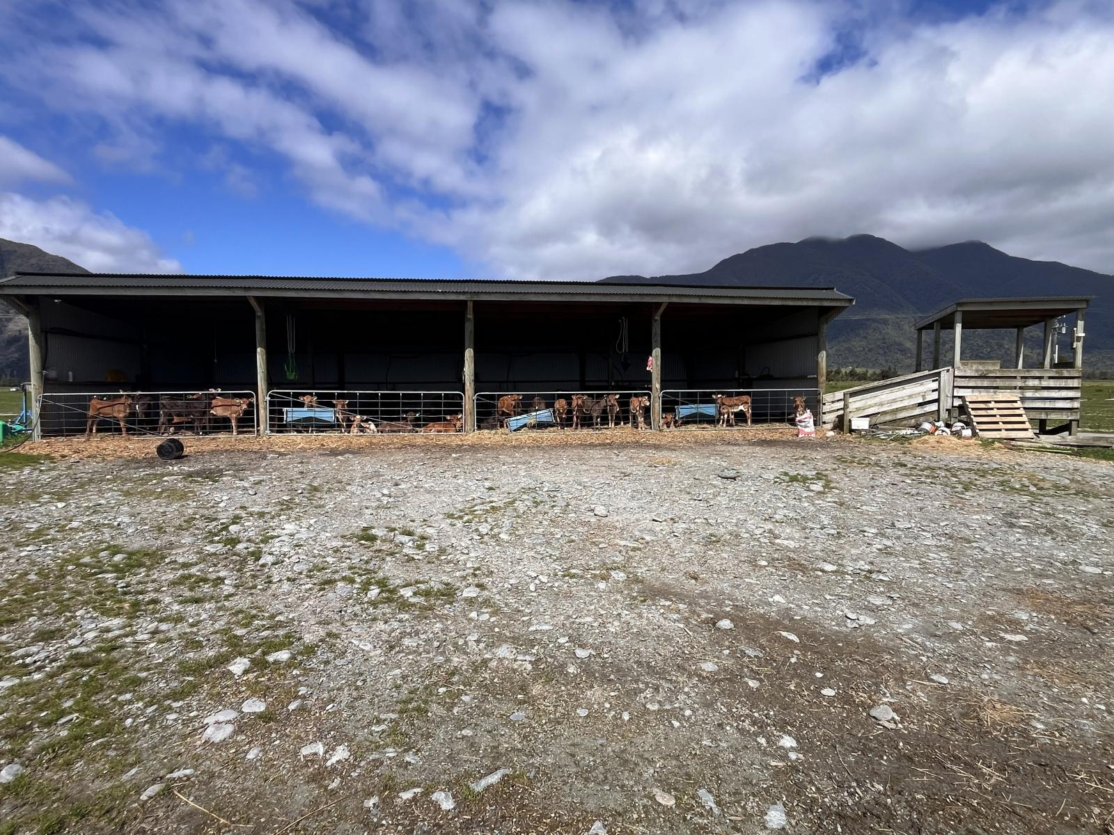 117 Burrough Road, Whataroa