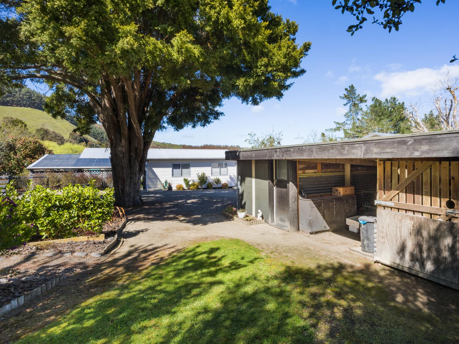 443 Reu Reu Road, Halcombe
