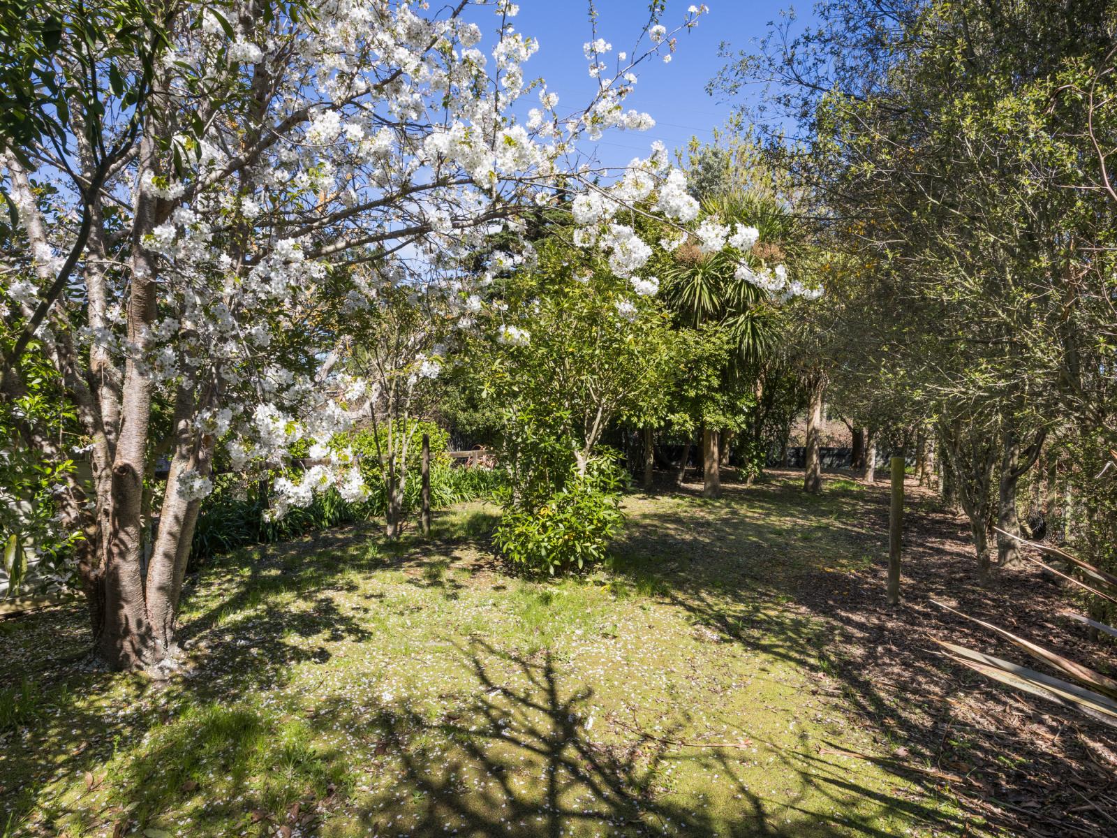 443 Reu Reu Road, Halcombe