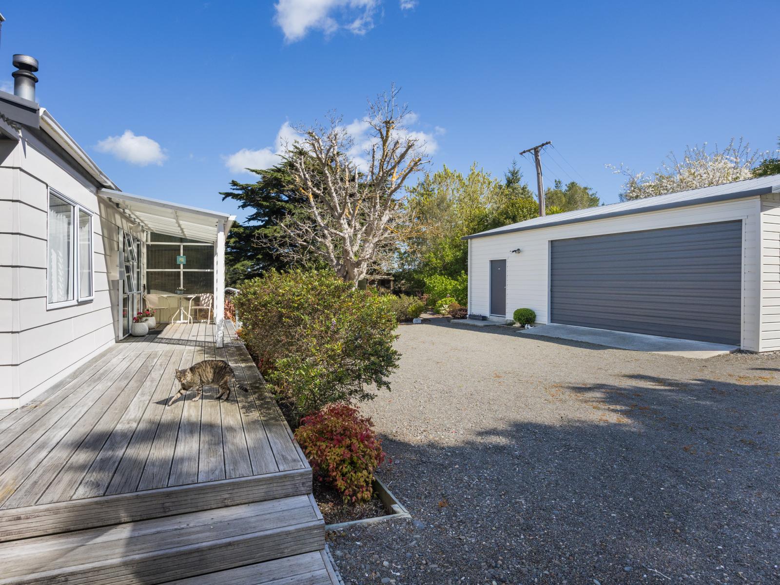 443 Reu Reu Road, Halcombe