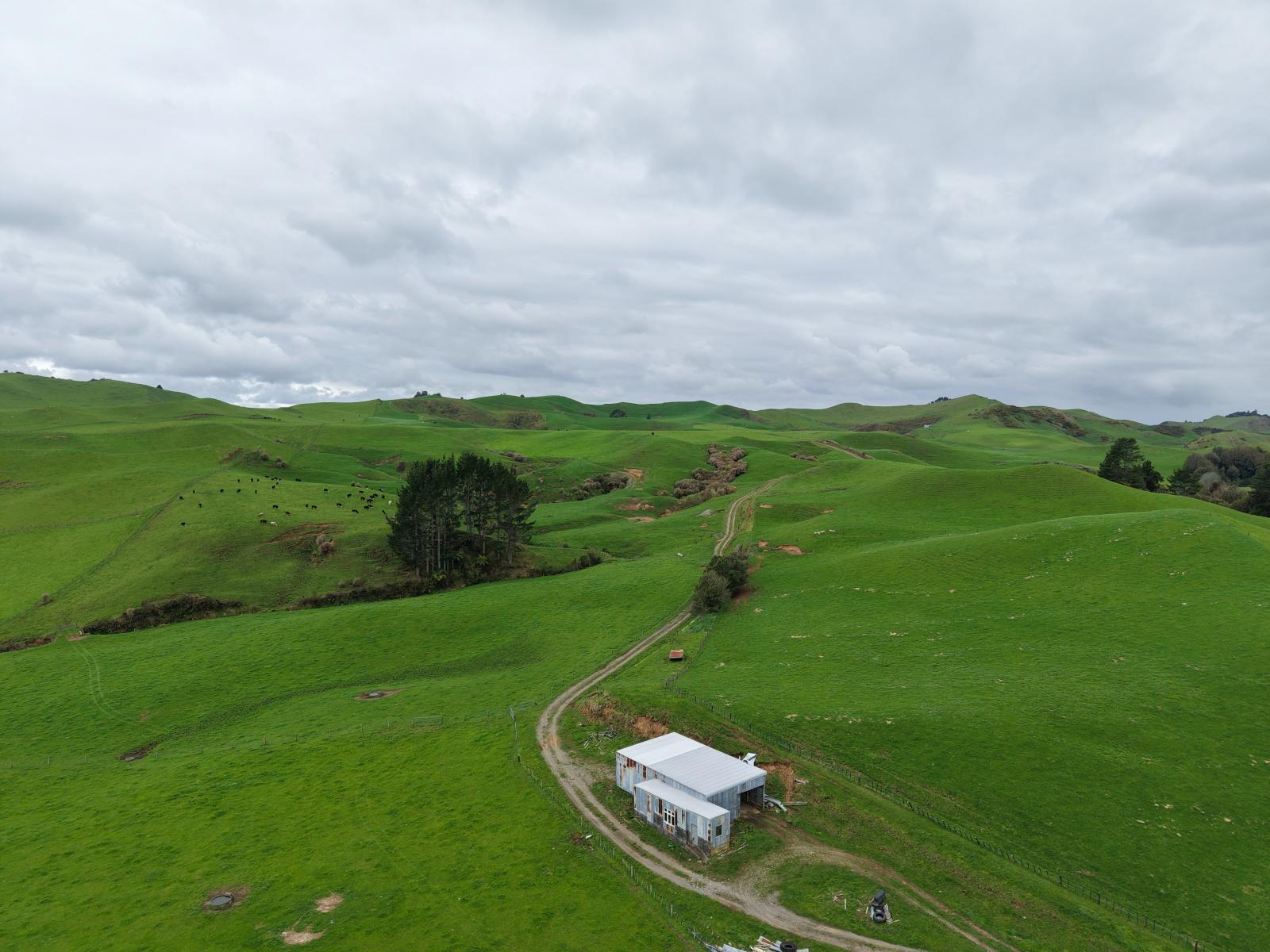Mangaone Road, Inglewood