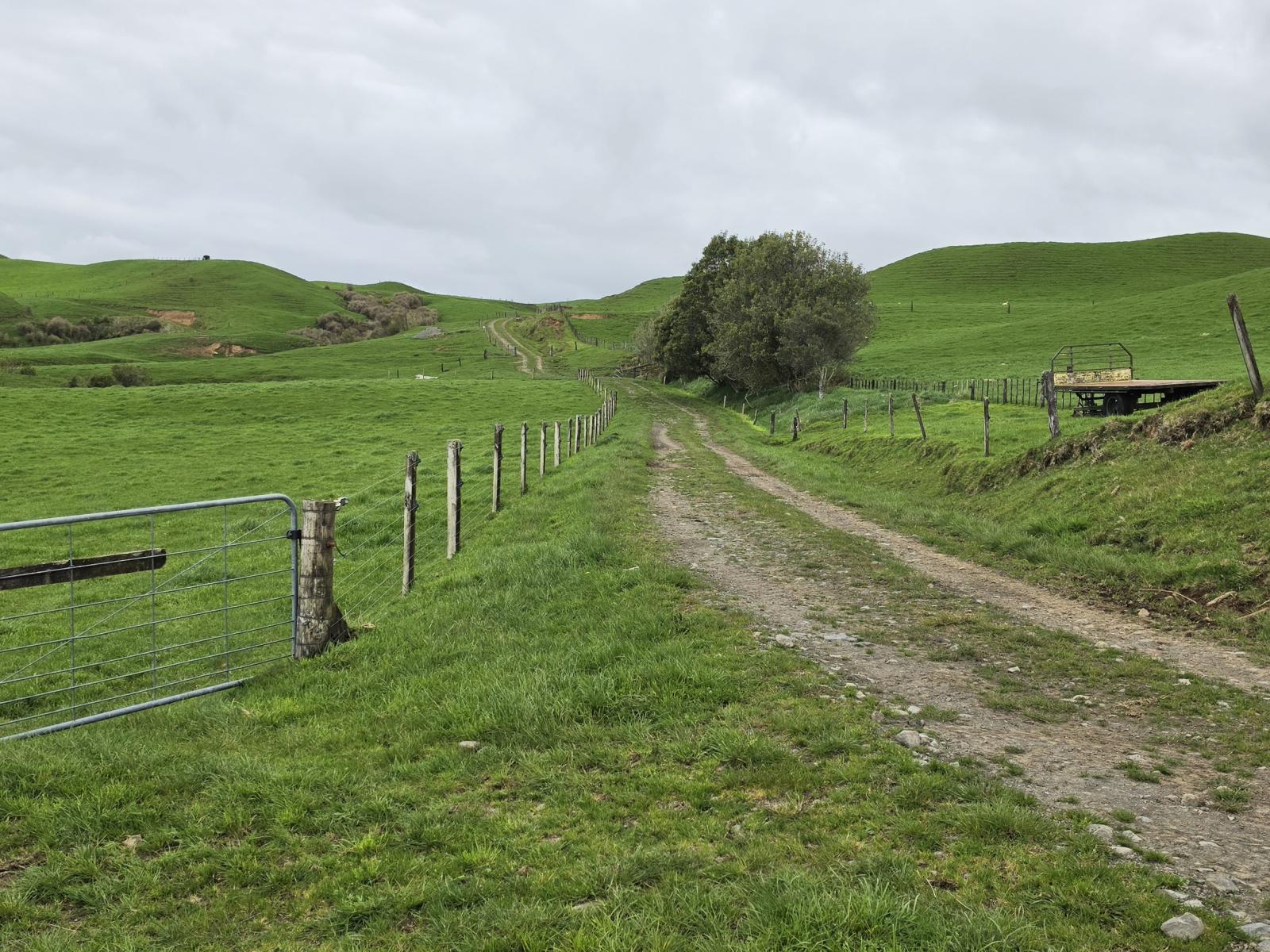 Mangaone Road, Inglewood