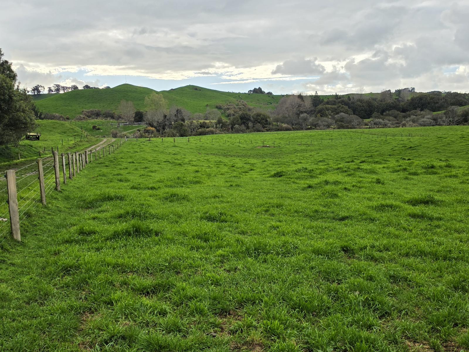 Mangaone Road, Inglewood