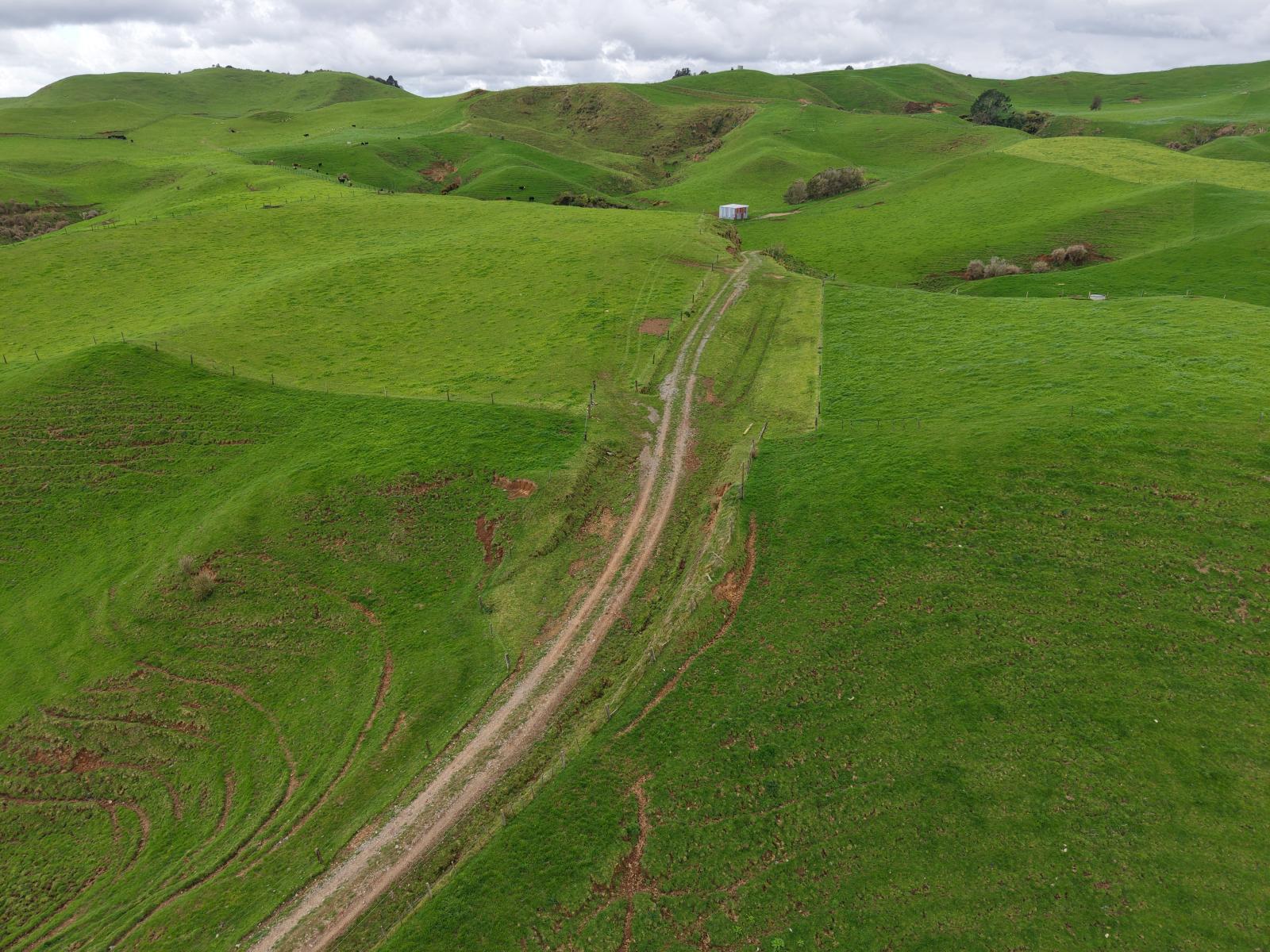 Mangaone Road, Inglewood