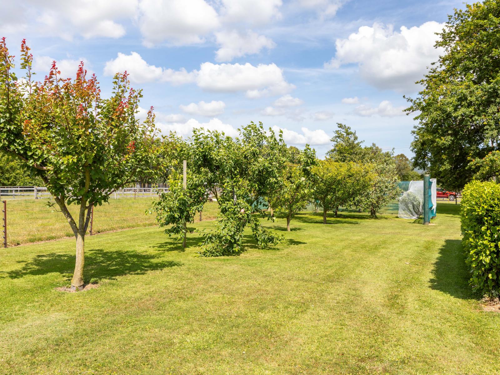 69 Sowry Road, Woodville