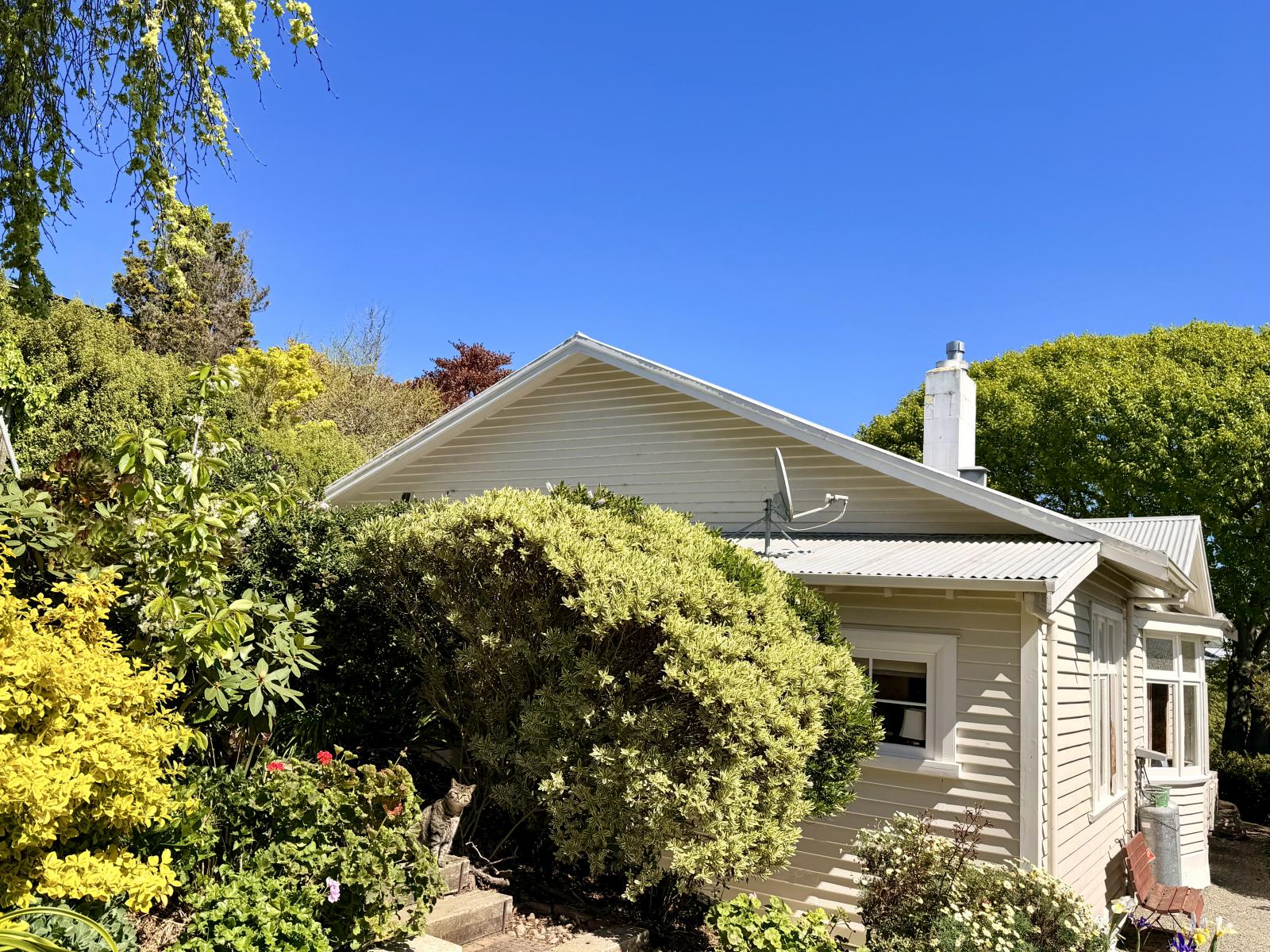 5 Till Street, Oamaru