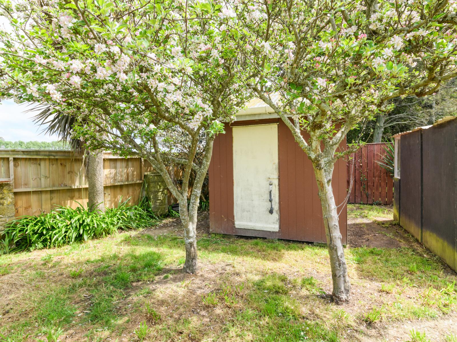 49 Rennie Avenue, Milson