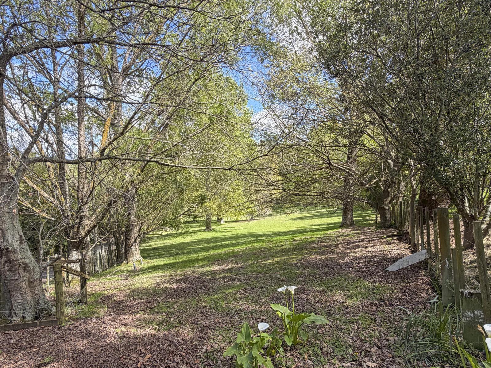 61 Turitea Road, Fitzherbert