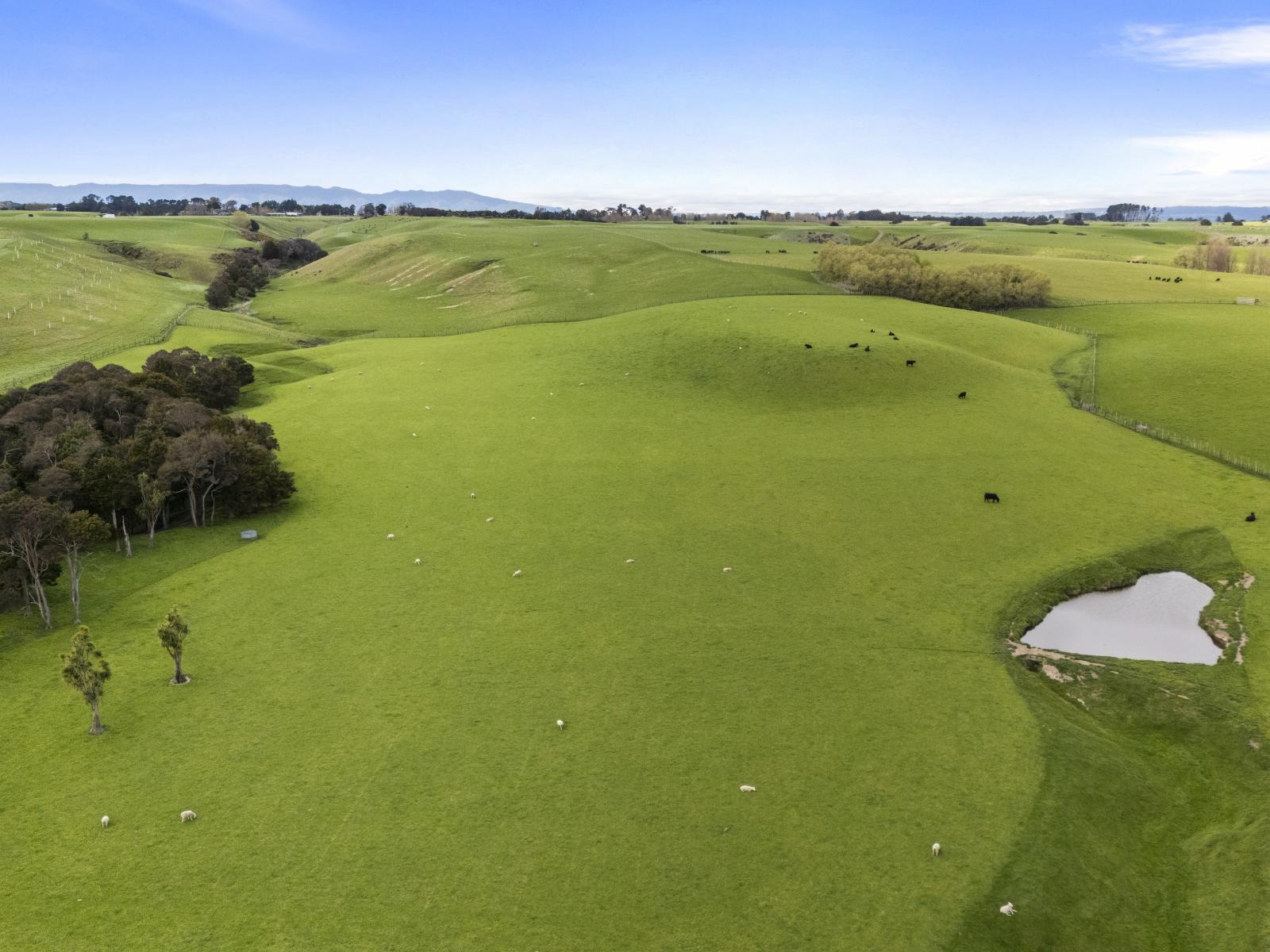 6 Managhs Road, Halcombe
