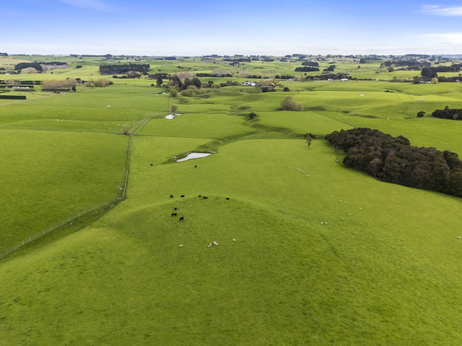 6 Managhs Road, Halcombe