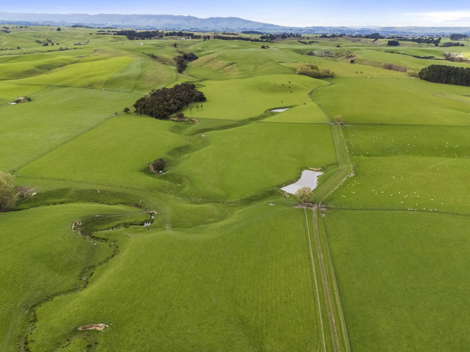 6 Managhs Road, Halcombe