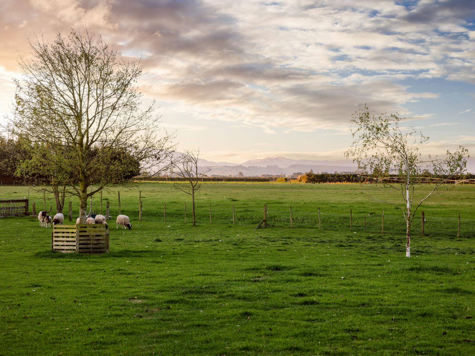 1490 North Eyre Road, West Eyreton