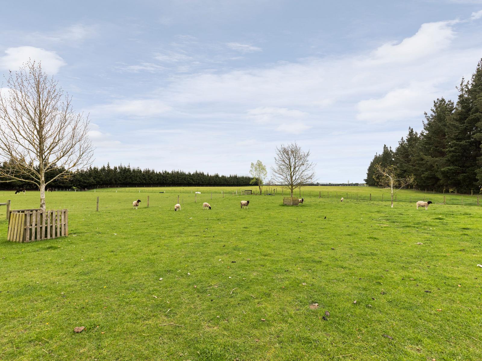 1490 North Eyre Road, West Eyreton