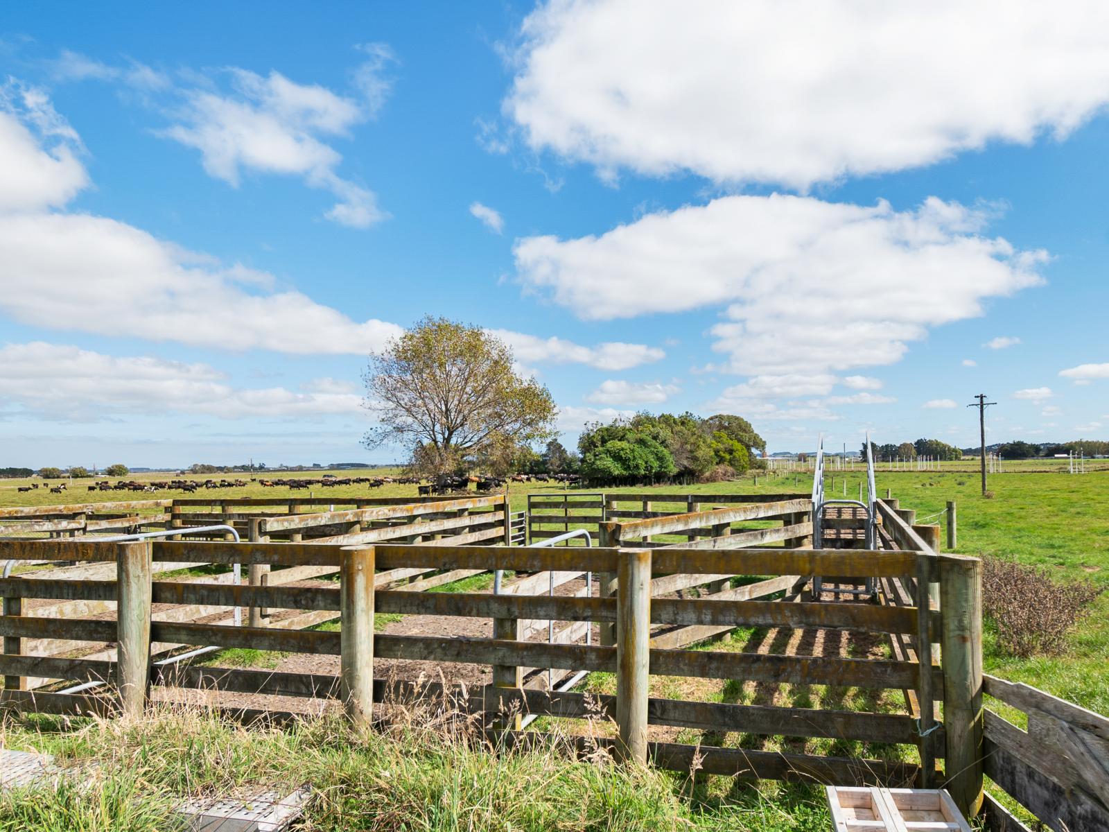 3125 State Highway 1, Sanson
