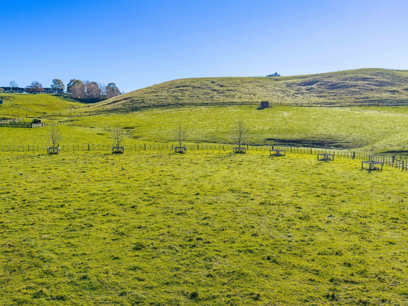 Lot 2, 221 Tapairu Road, Waipawa