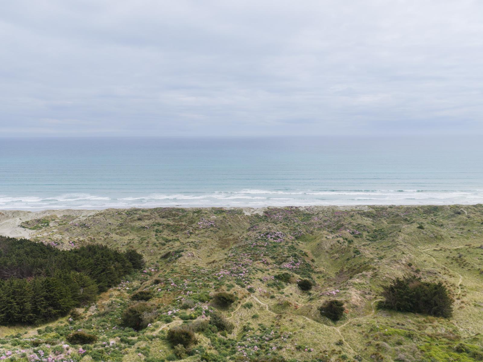 14 Barber Street, Foxton Beach