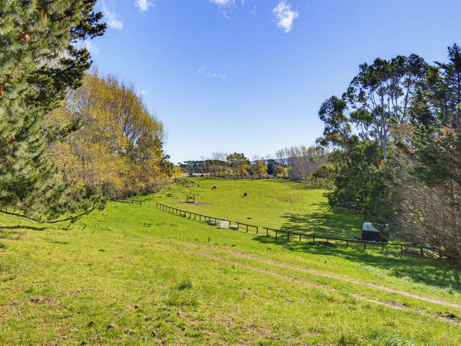 167 Otaihanga Road, Otaihanga