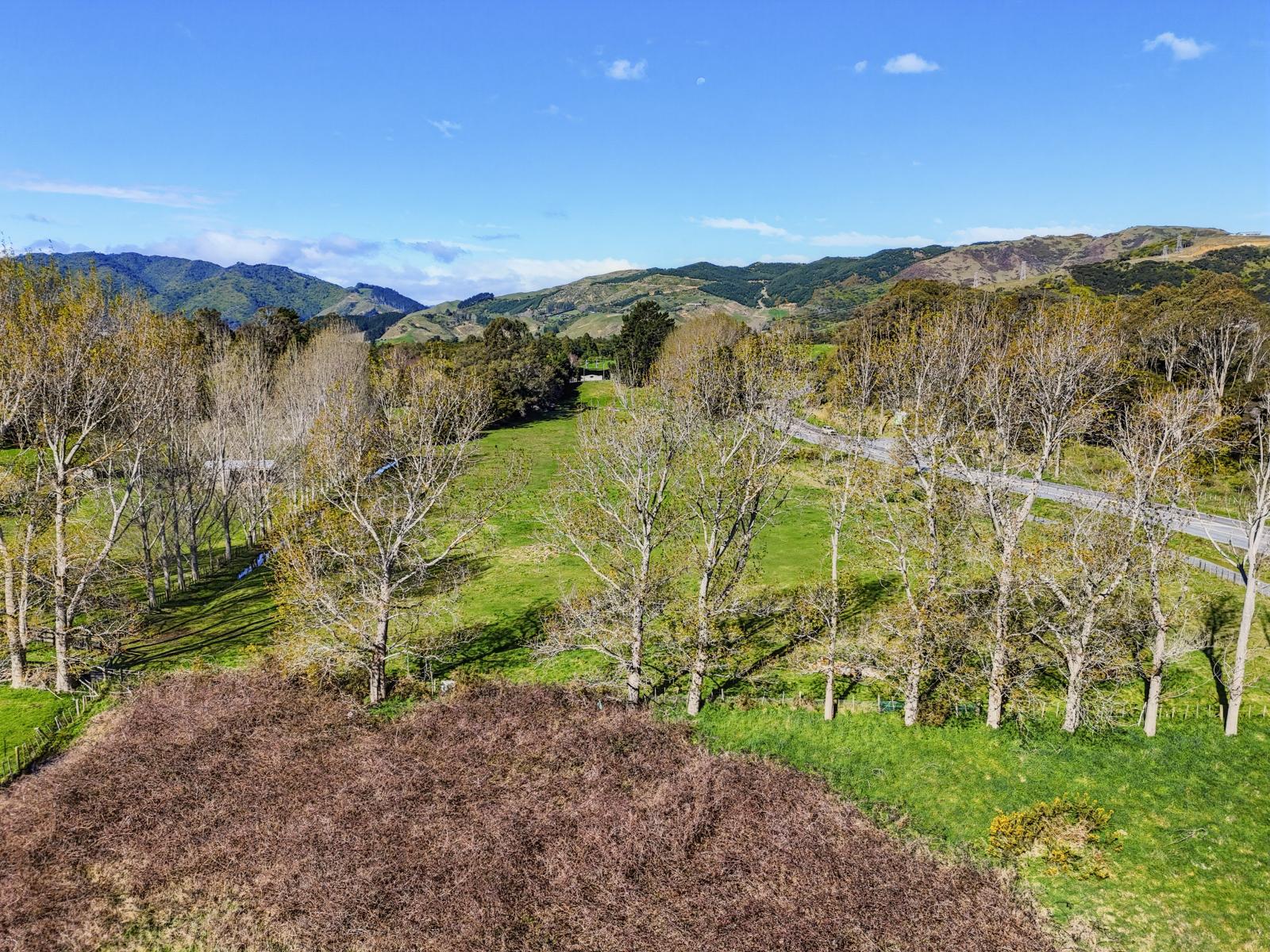 167 Otaihanga Road, Otaihanga